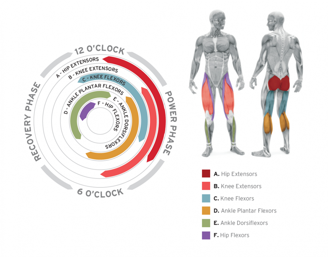 Performance Spin… What’s It All About Tfd Gym